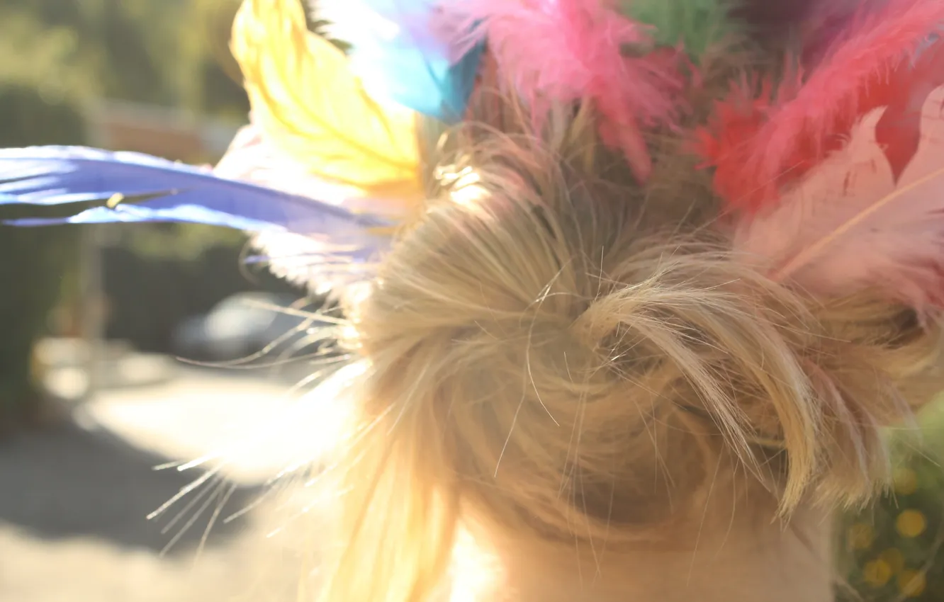 Photo wallpaper hair, colored, feathers, blonde, bundles