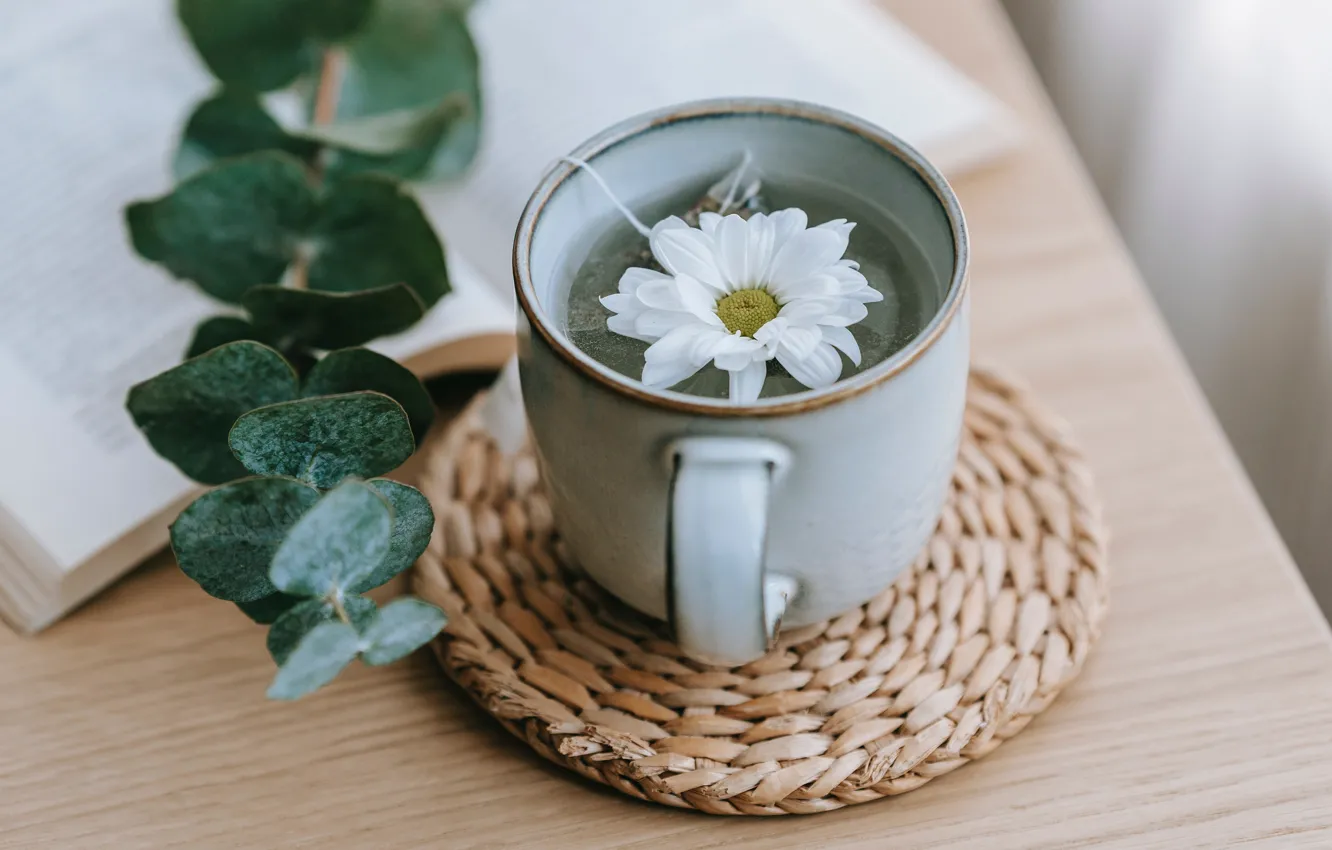 Photo wallpaper white, flower, leaves, table, tea, plant, Daisy, mug