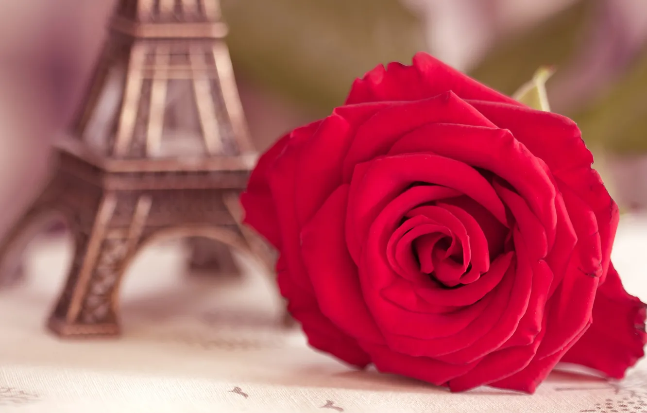 Photo wallpaper flower, macro, Eiffel tower, rose, blur, figurine, scarlet