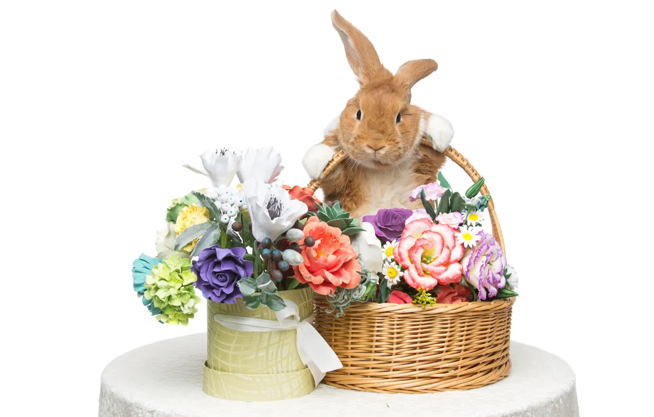 Photo wallpaper flowers, basket, rabbit, Easter, rabbit, flowers, spring, Easter