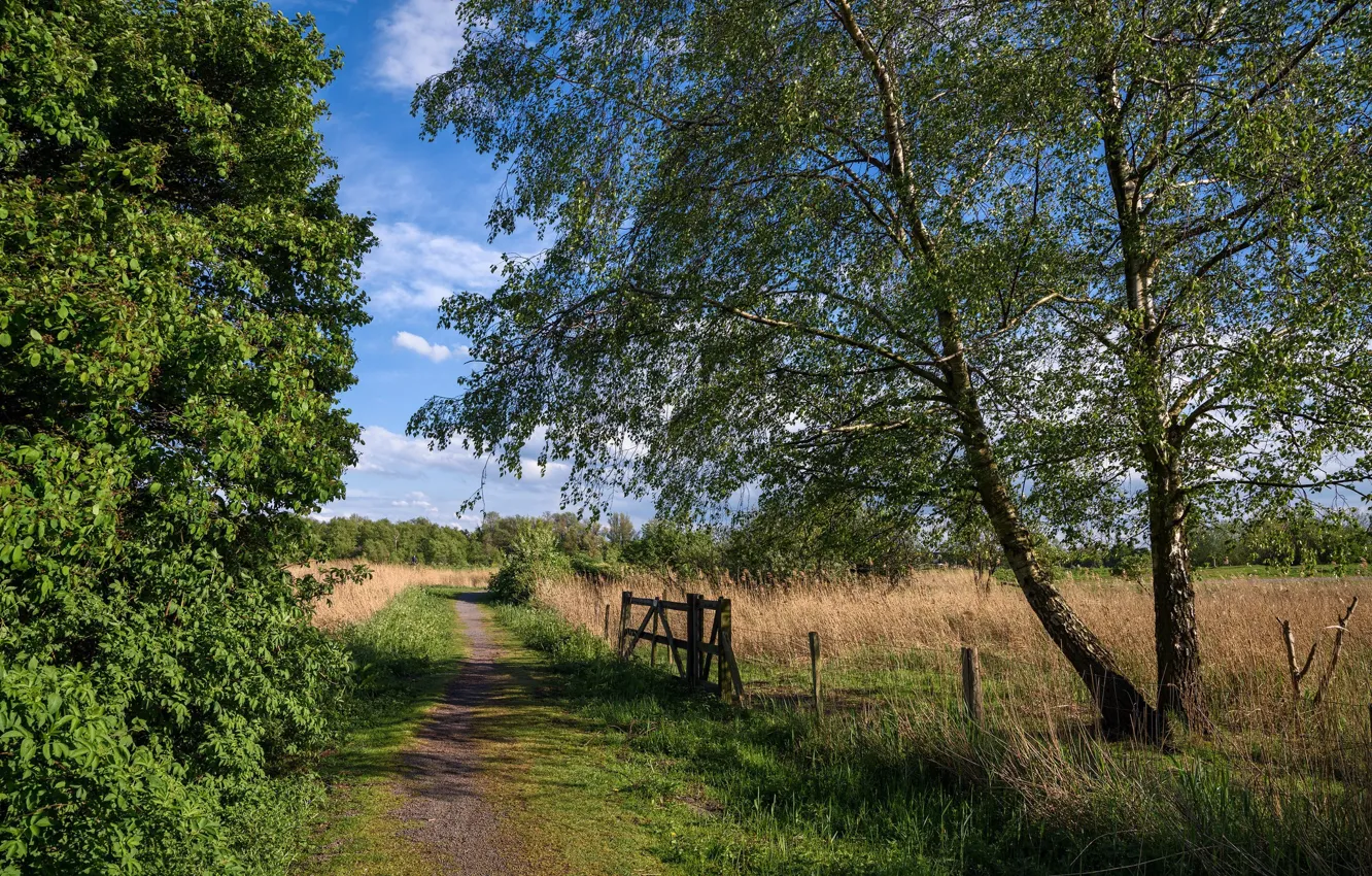 Photo wallpaper road, trail, village