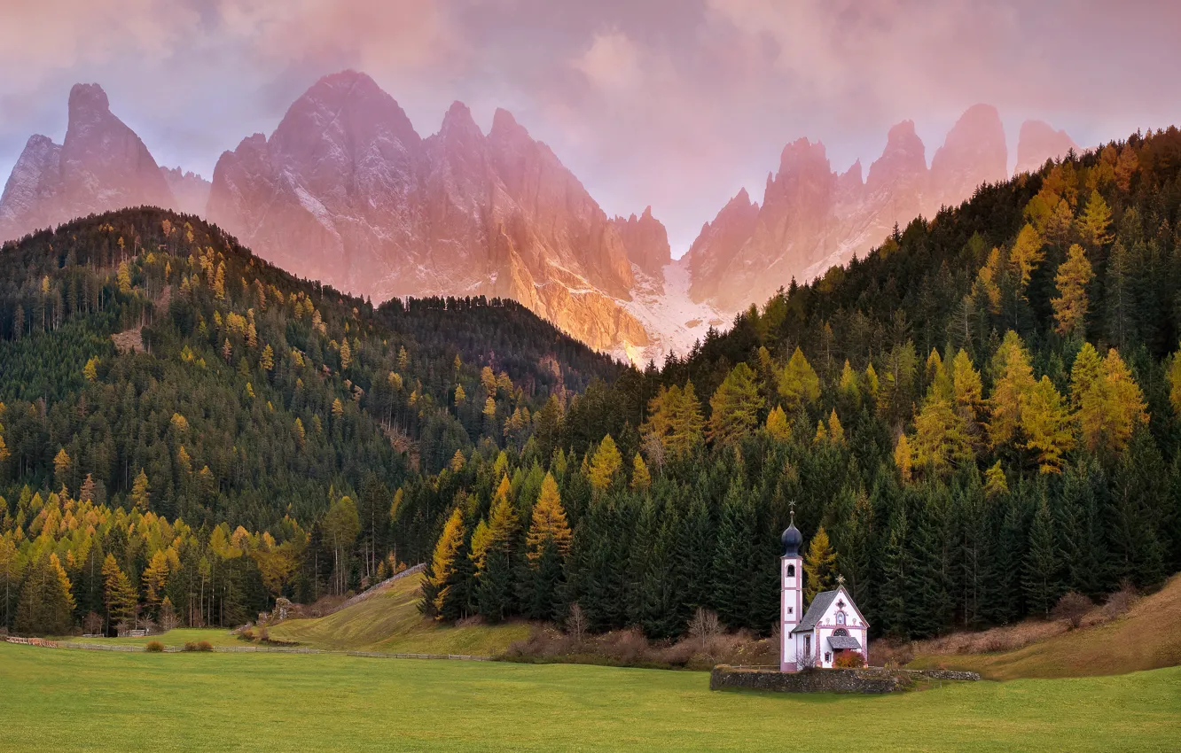 Photo wallpaper forest, mountains, Alps, Church