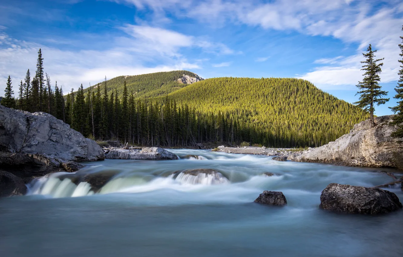 Photo wallpaper forest, the sky, mountains, river, blue, stones, rocks, shore