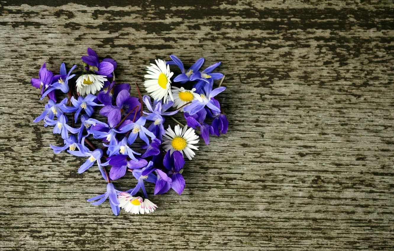 Photo wallpaper flowers, background, heart