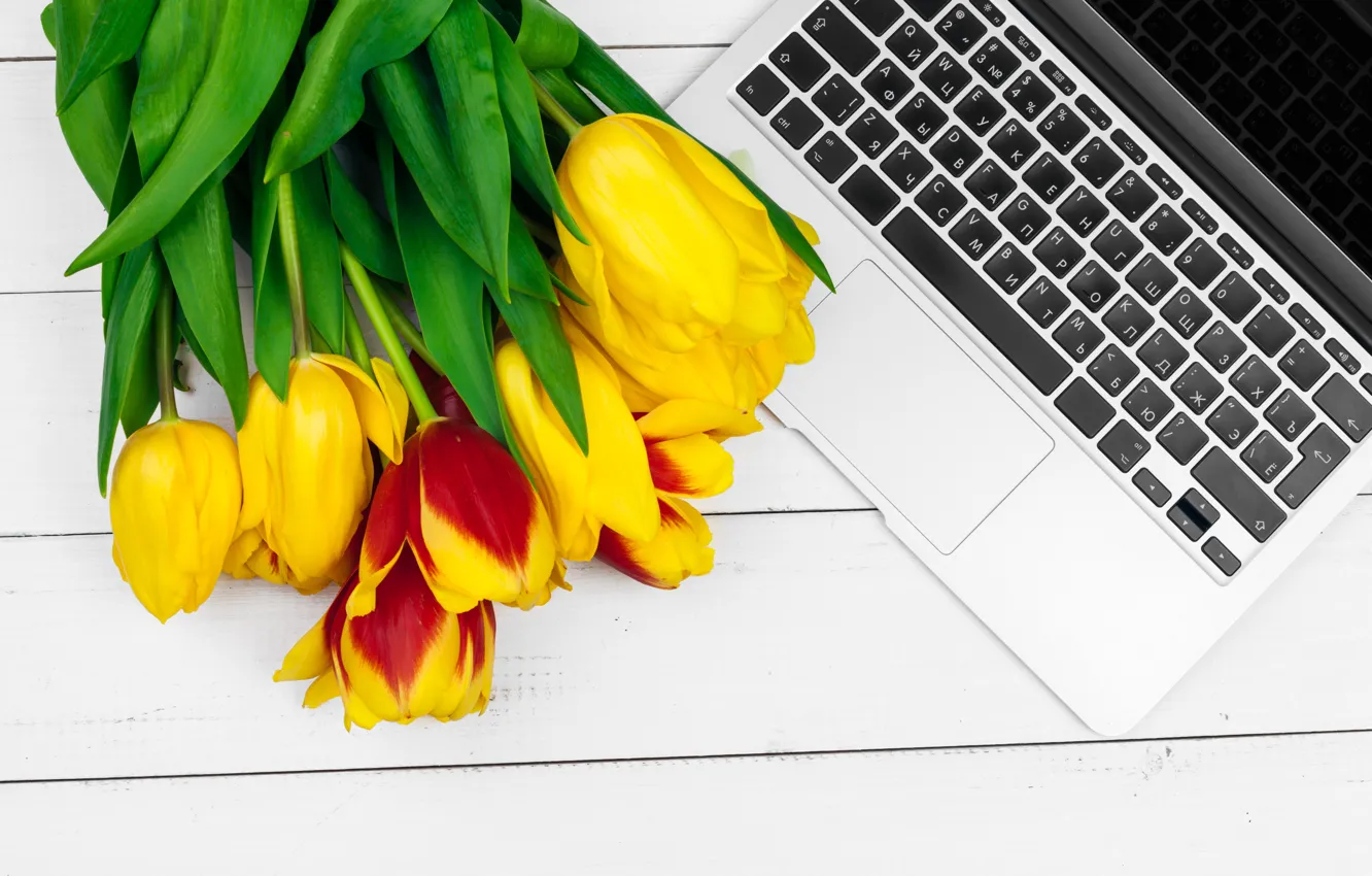 Photo wallpaper flowers, bouquet, colorful, tulips, laptop, flowers, romantic, tulips