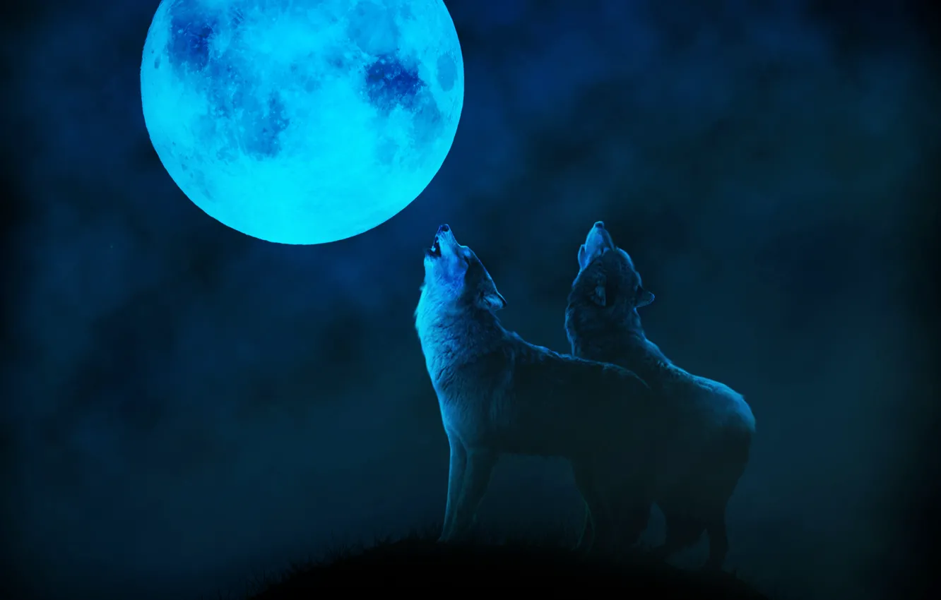 Photo wallpaper night, fog, the moon, wolves