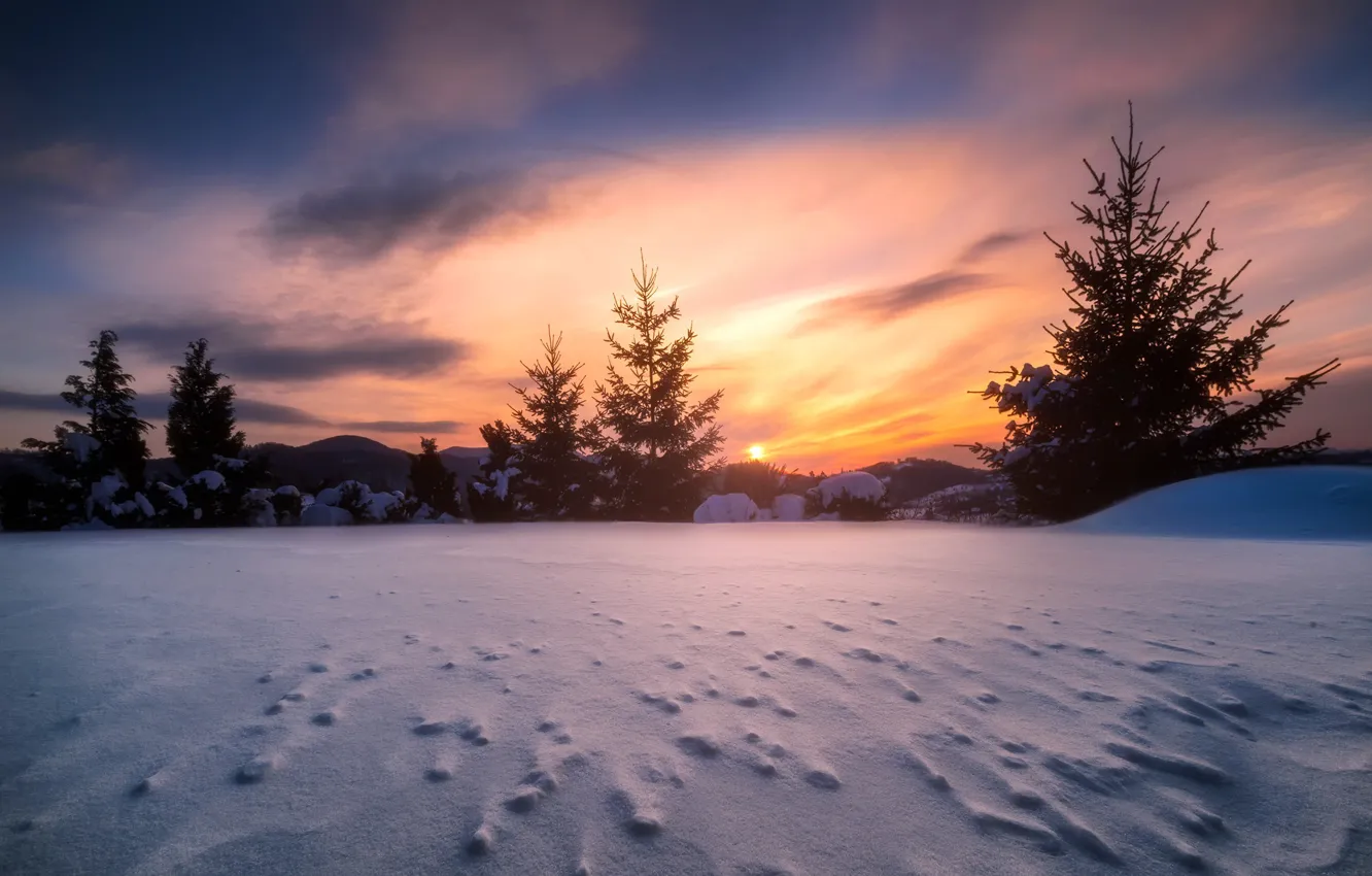 Photo wallpaper winter, snow, morning