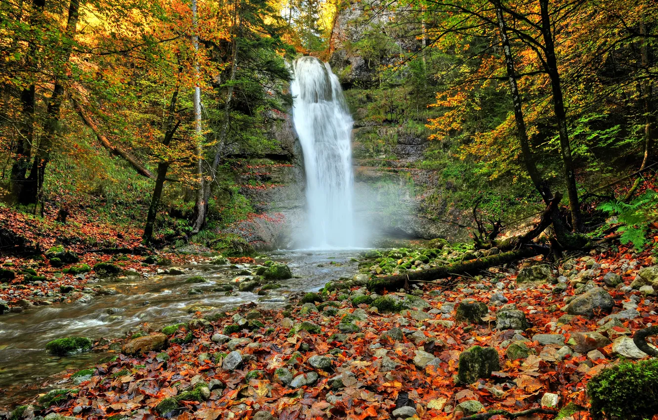 Photo wallpaper autumn, forest, leaves, trees, stones, rocks, waterfall, forest