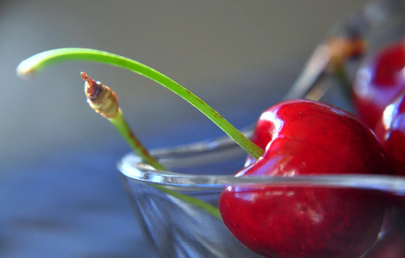 Photo wallpaper macro, cherry, background