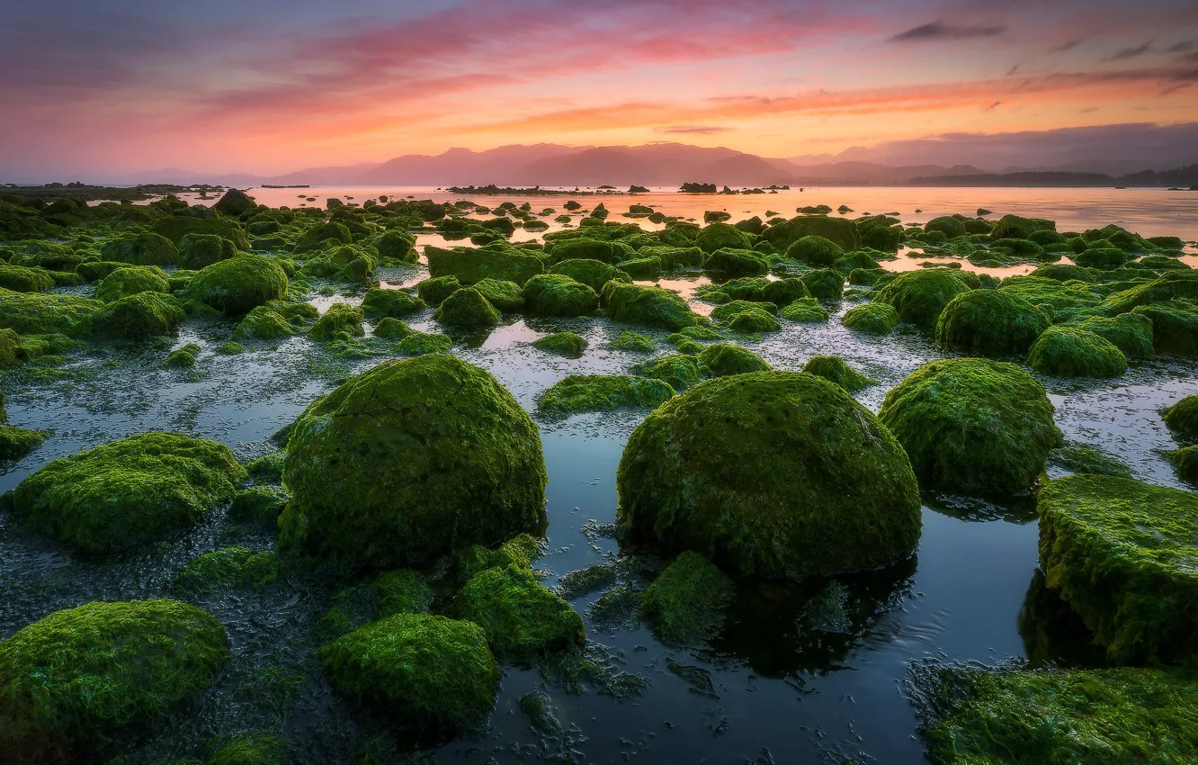 Photo wallpaper greens, clouds, algae, sunset, mountains, stones, shore, moss