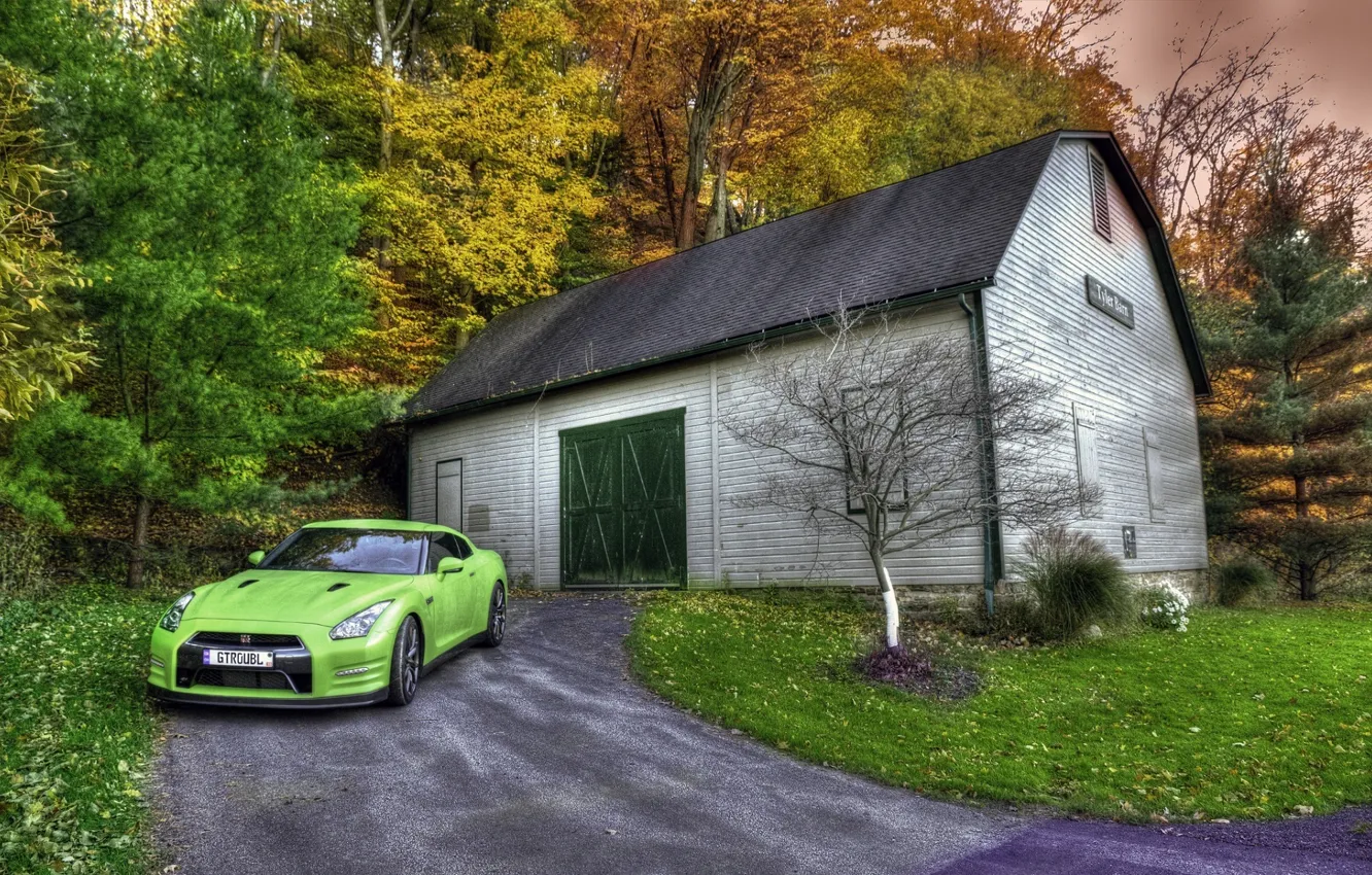 Photo wallpaper HDR, GTR, Japan, Nissan, Car, Wood, Green, Front