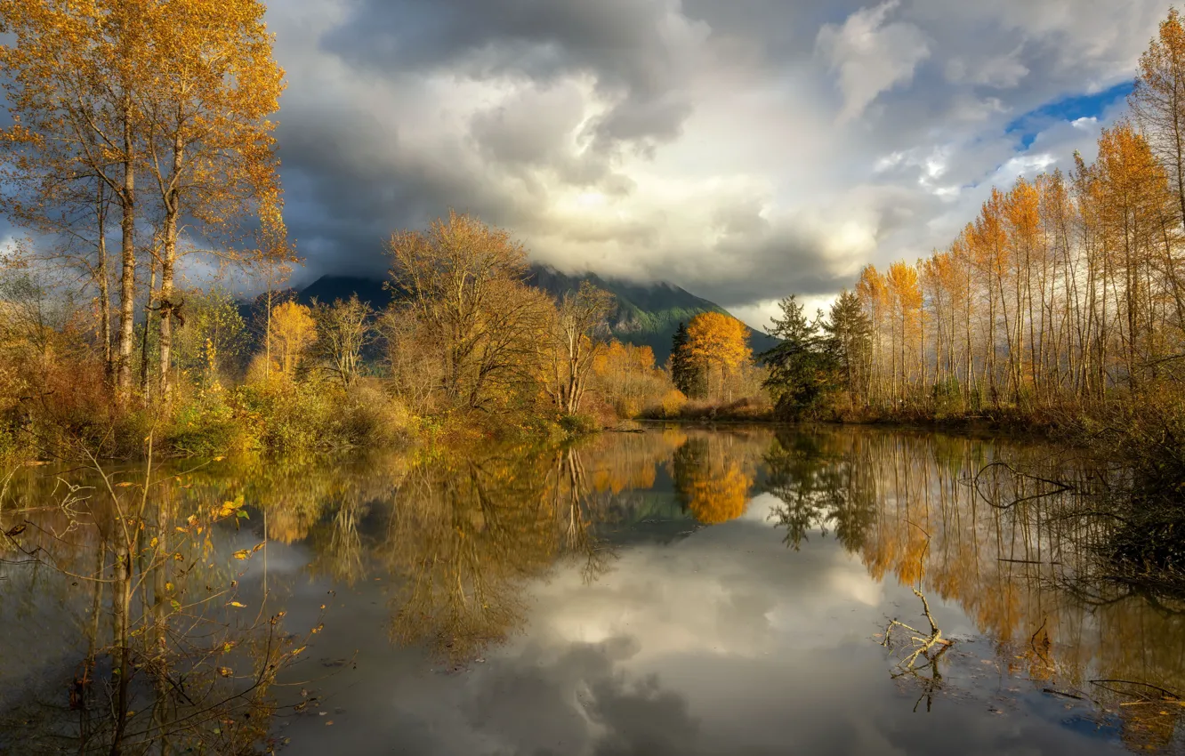 Photo wallpaper autumn, forest, mountains, fog, reflection, pond