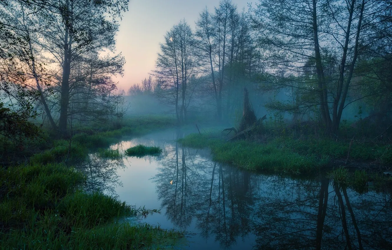 Photo wallpaper the sky, trees, nature, fog, morning, Russia, river, Anton Sadomov