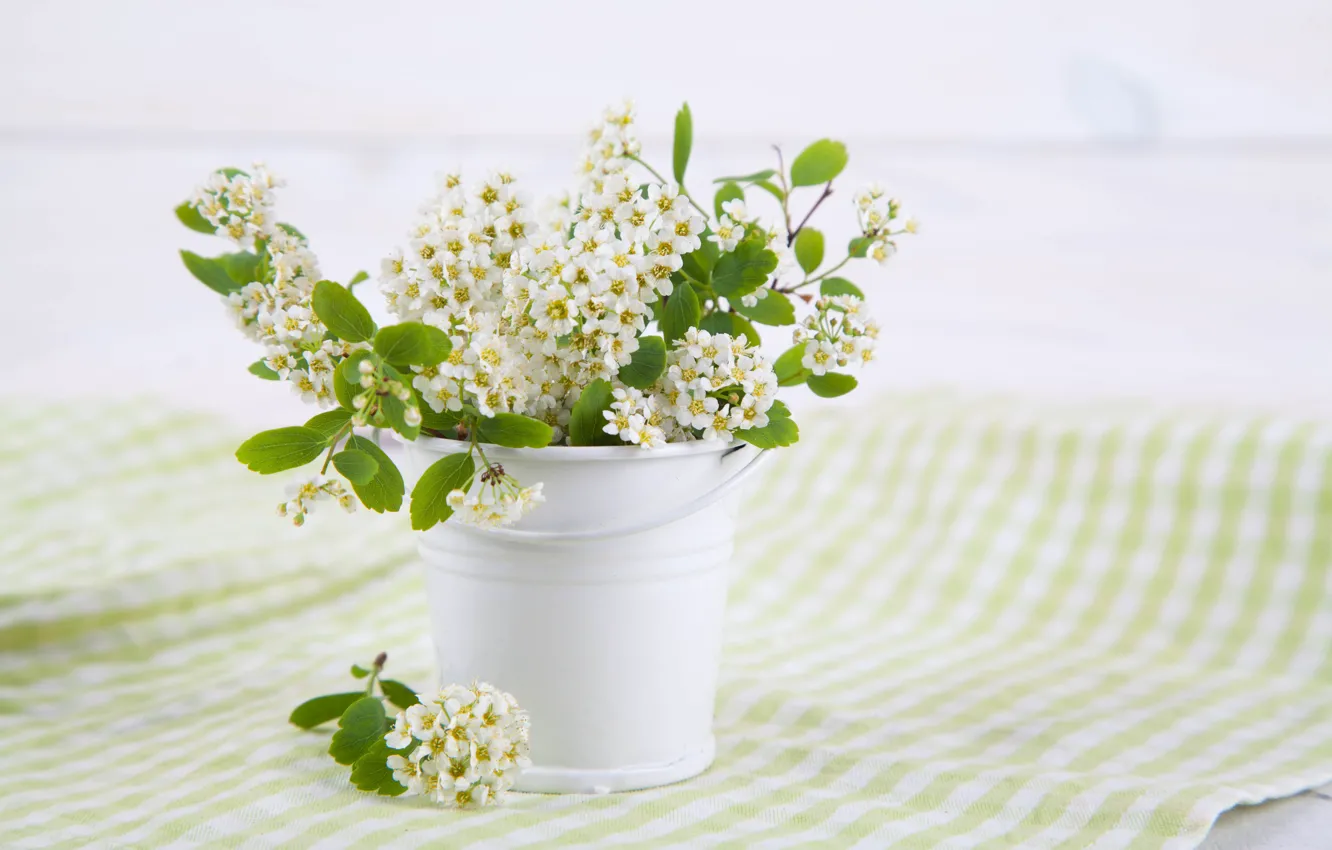Photo wallpaper flowers, branches, cherry, spring, bucket