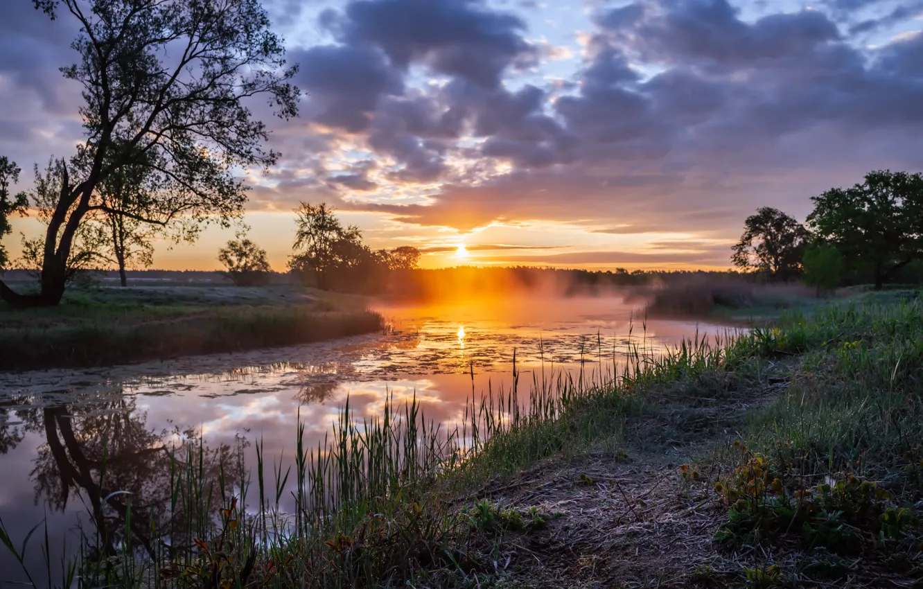 Wallpaper sunset, river, tree images for desktop, section природа ...