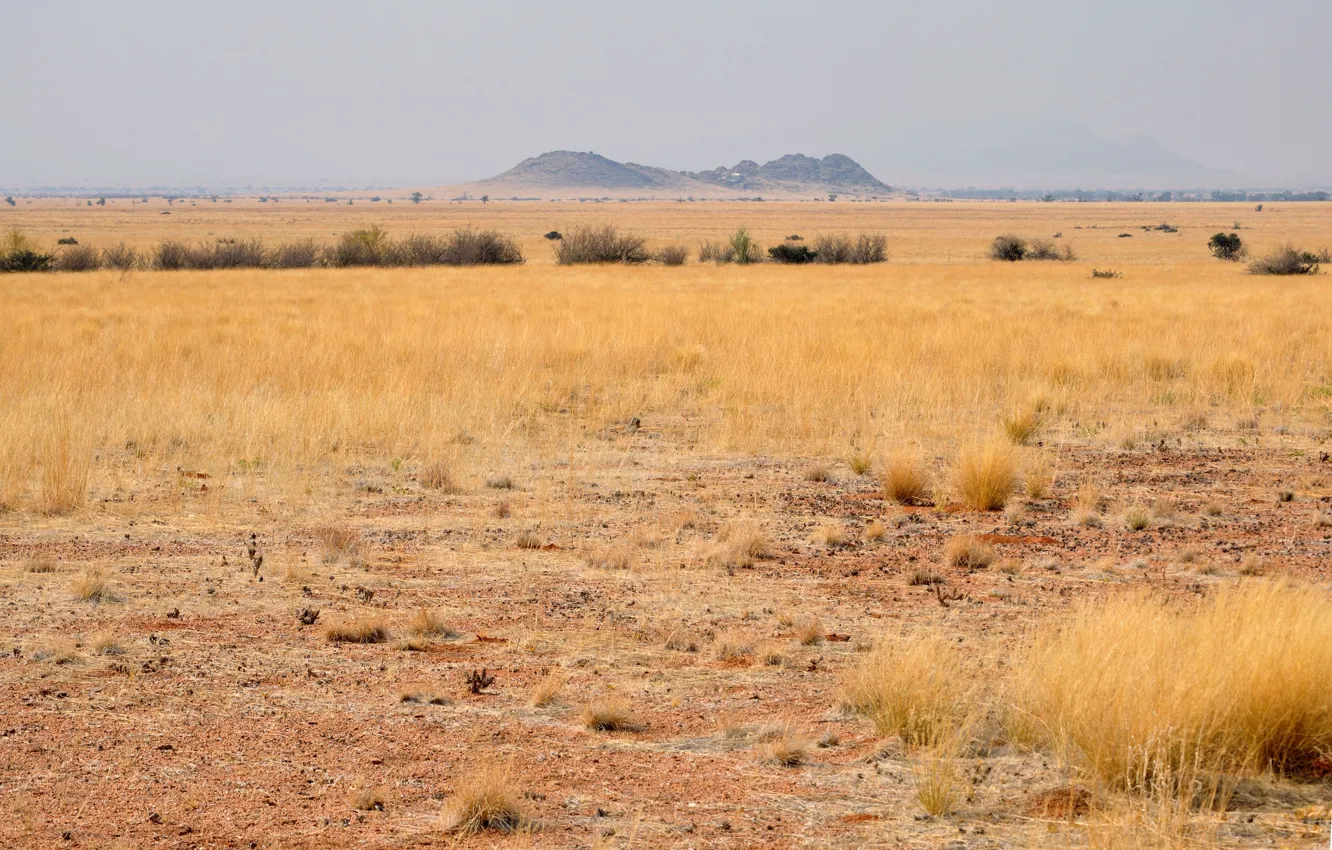 Photo wallpaper landscape, desert, Savannah, Africa, Namibia, South Africa