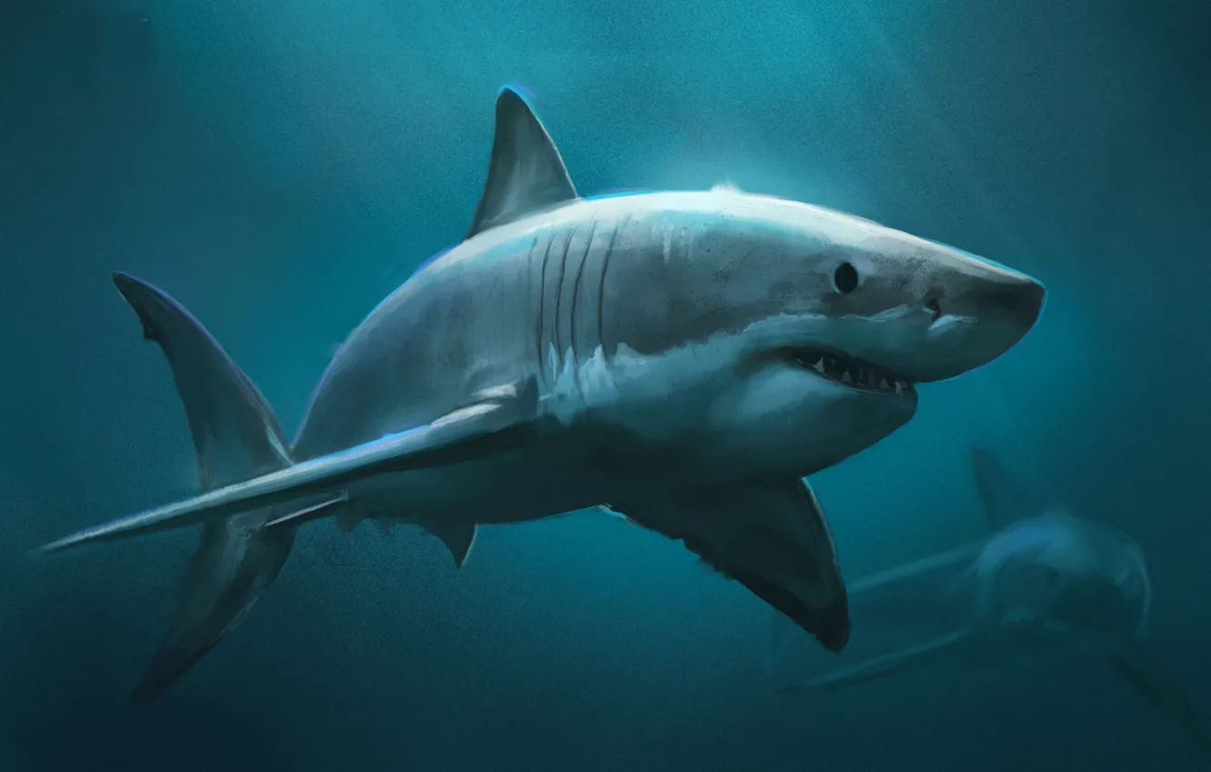 Photo wallpaper predator, shark, art, underwater world