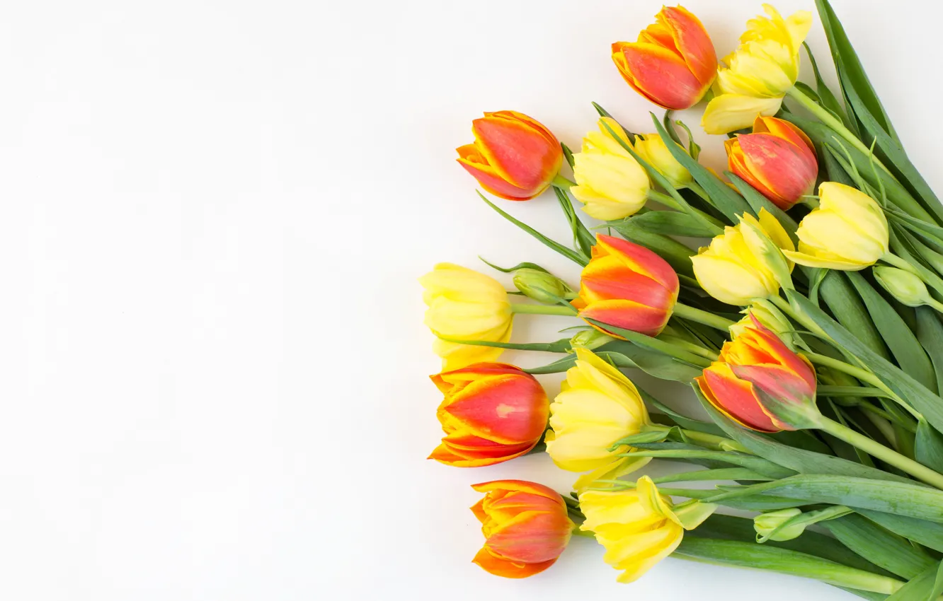 Photo wallpaper flowers, bouquet, yellow, tulips