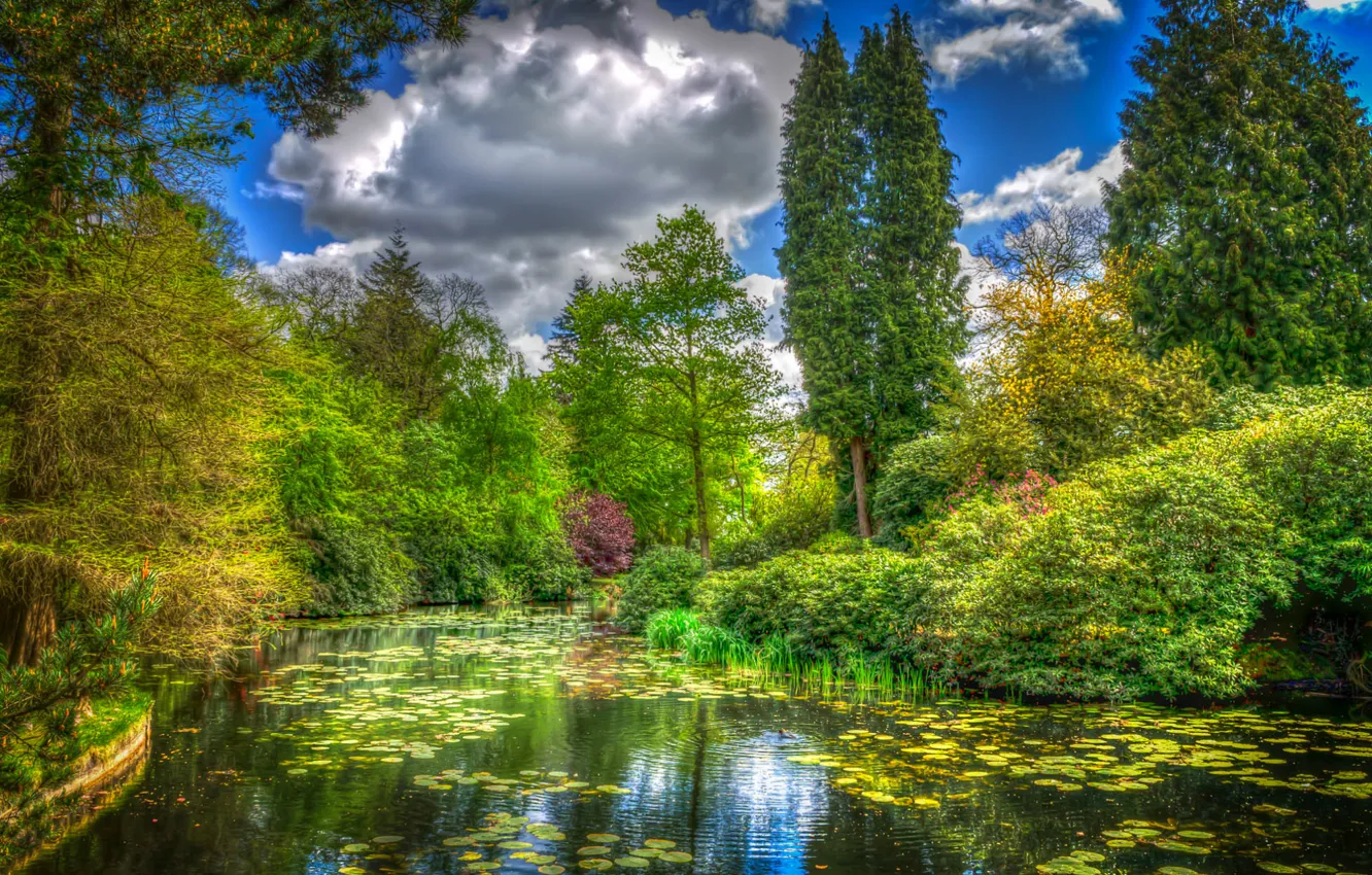 Photo wallpaper greens, the sky, water, clouds, trees, river, HDR