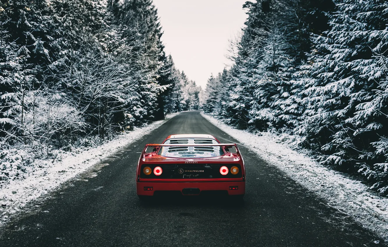 Photo wallpaper F40, Winter, Trees