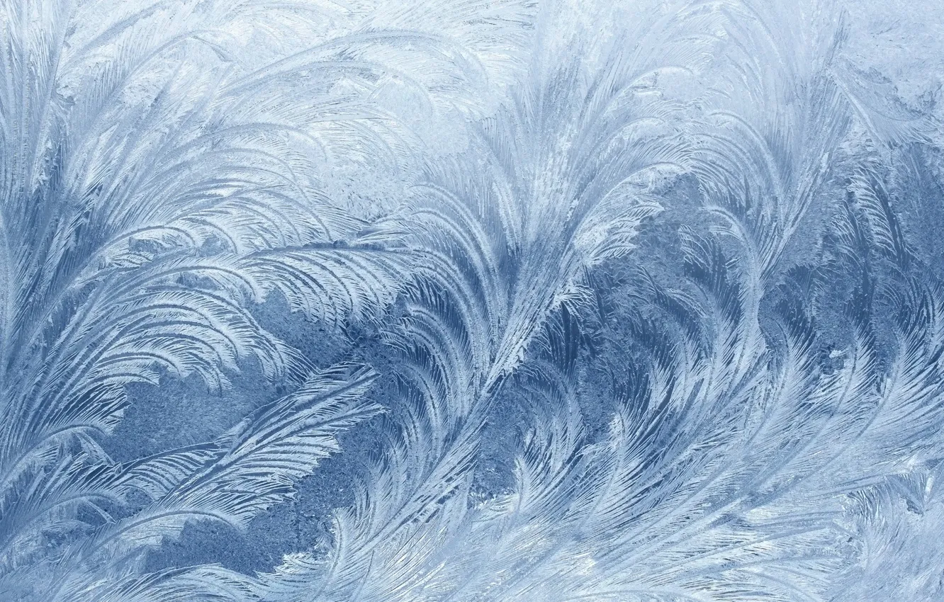 Photo wallpaper cold, ice, winter, macro, background, Wallpaper, window, frost