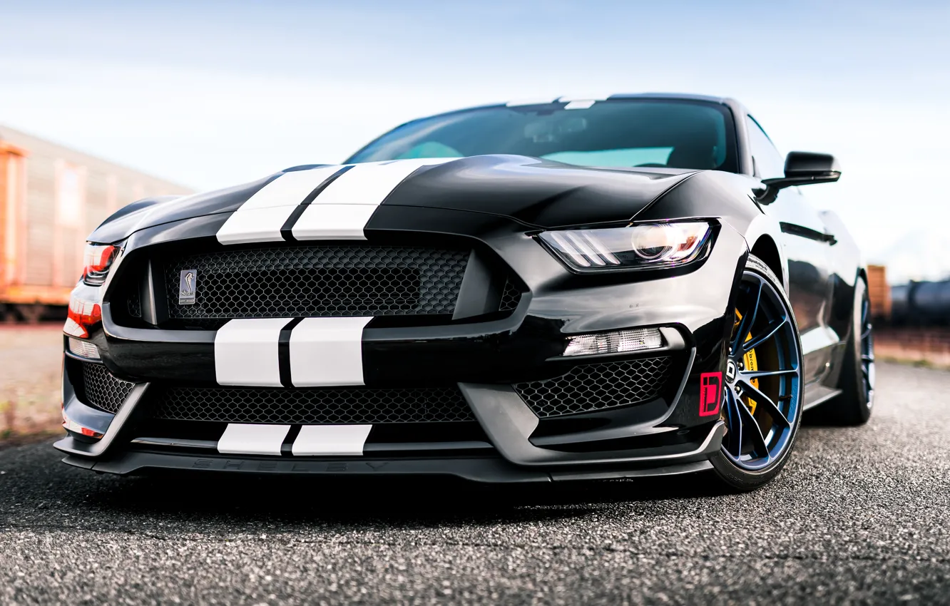 Photo wallpaper Mustang, Ford, Shelby, GT350, Ford Mustang Shelby GT350