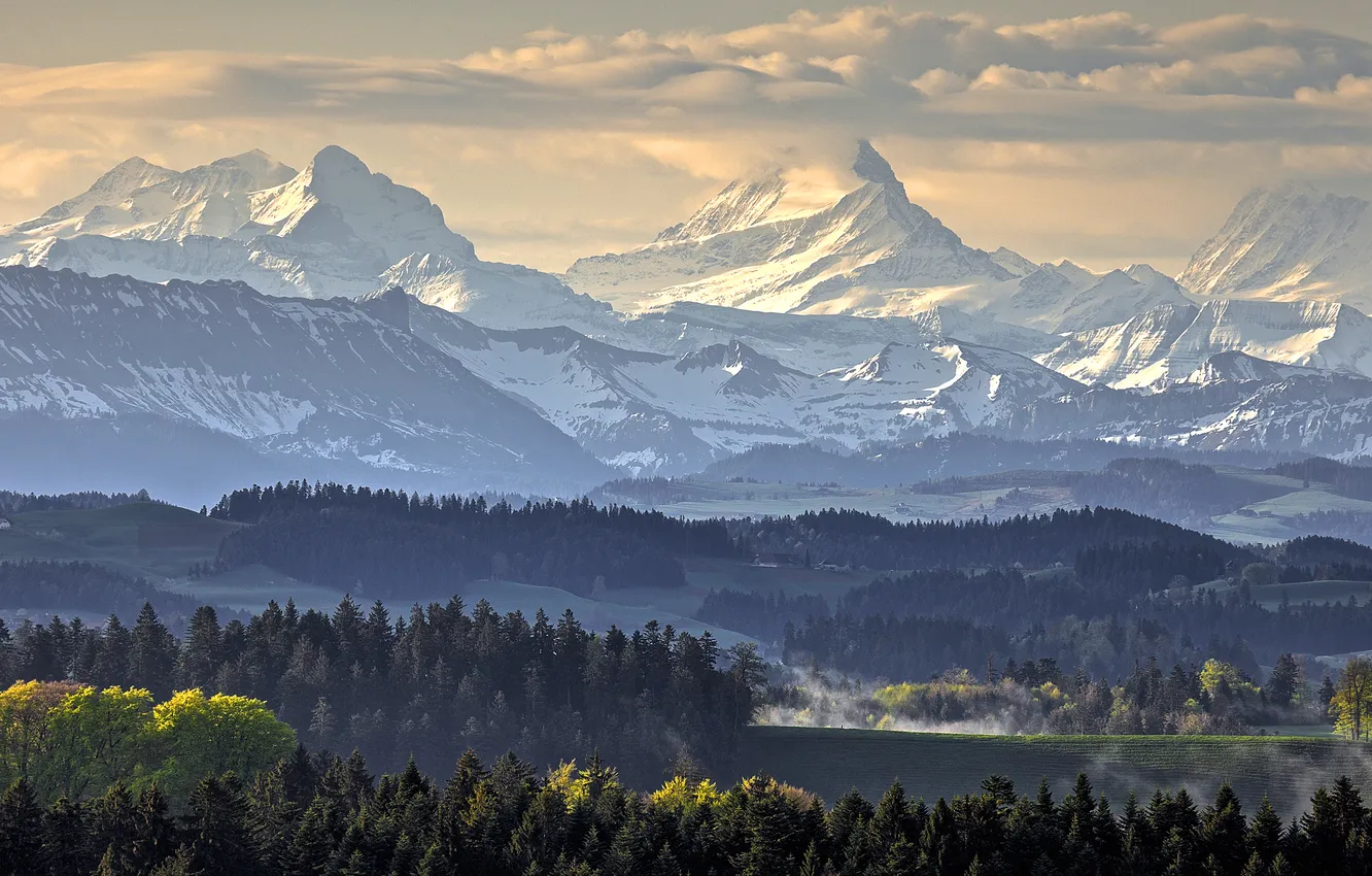 Photo wallpaper forest, clouds, snow, mountains, fog, tops, morning, slope
