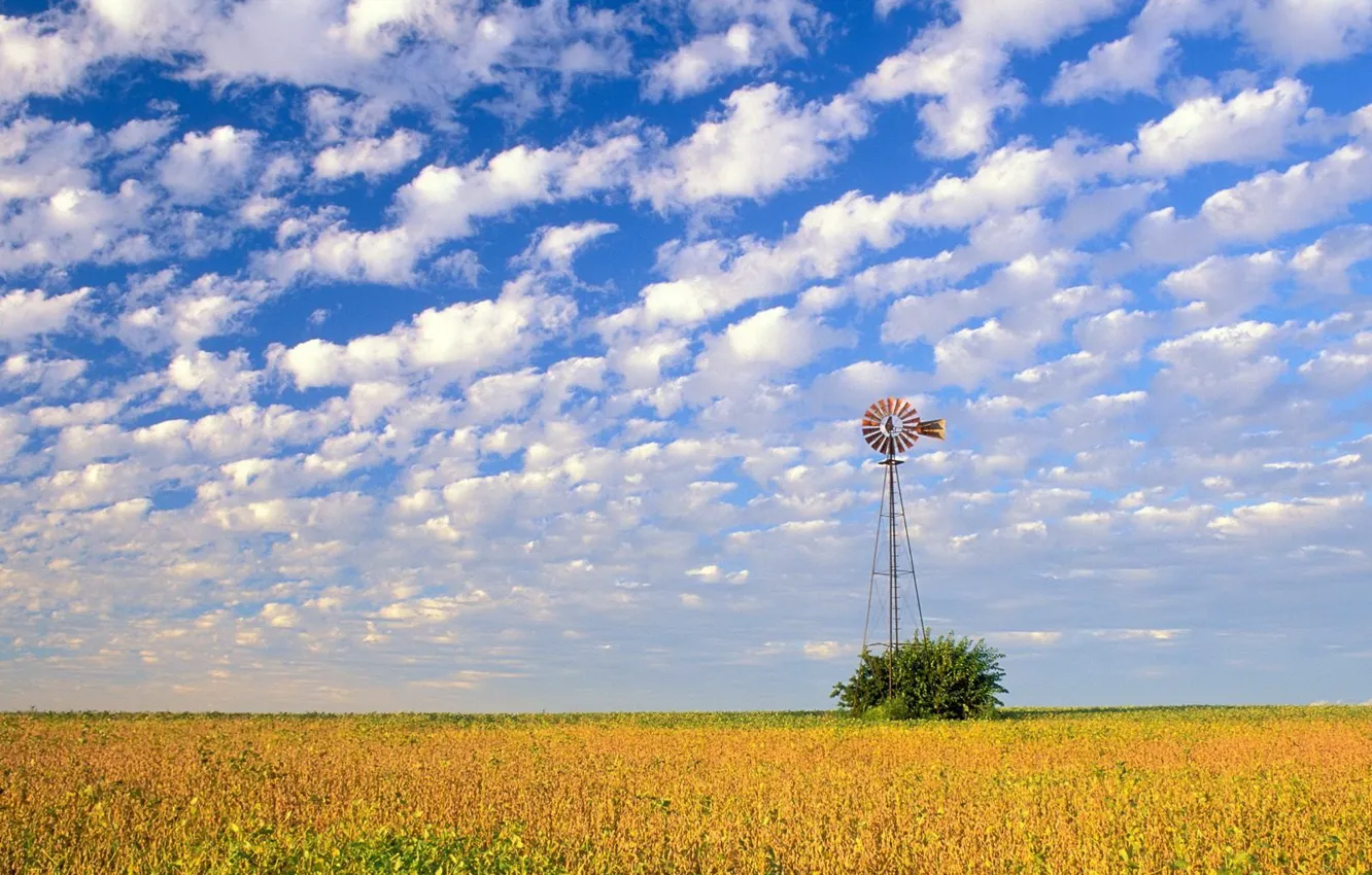 Photo wallpaper field, the sky, clouds, windmills