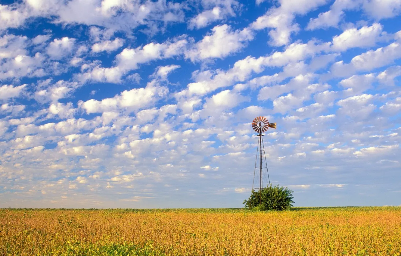 Photo wallpaper field, the sky, clouds, windmill