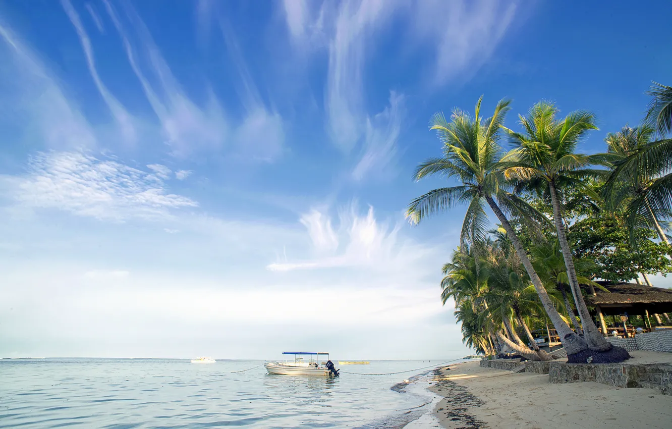 Photo wallpaper beach, palm trees, the ocean, boats