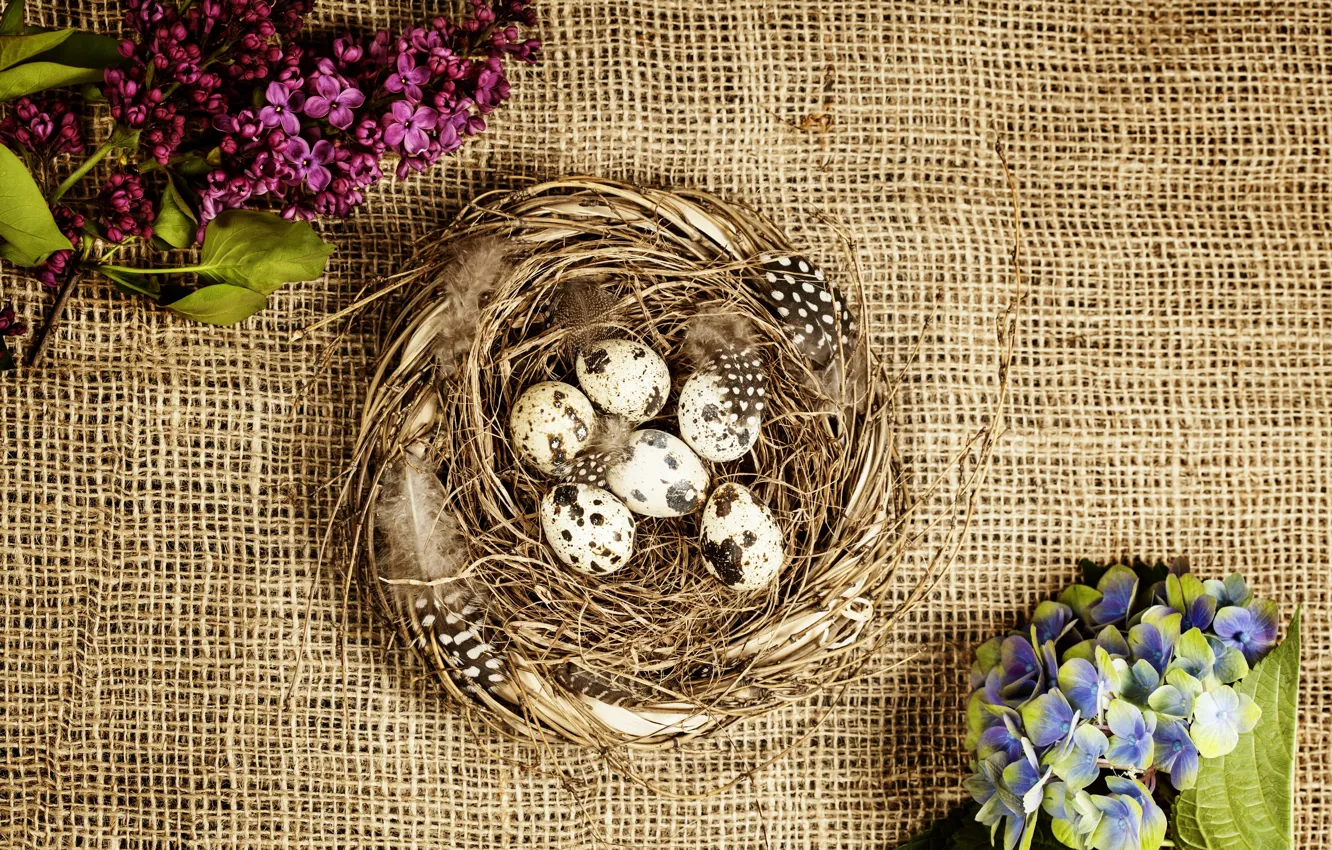 Photo wallpaper flowers, background, eggs, spring, colorful, Easter, burlap, flowers