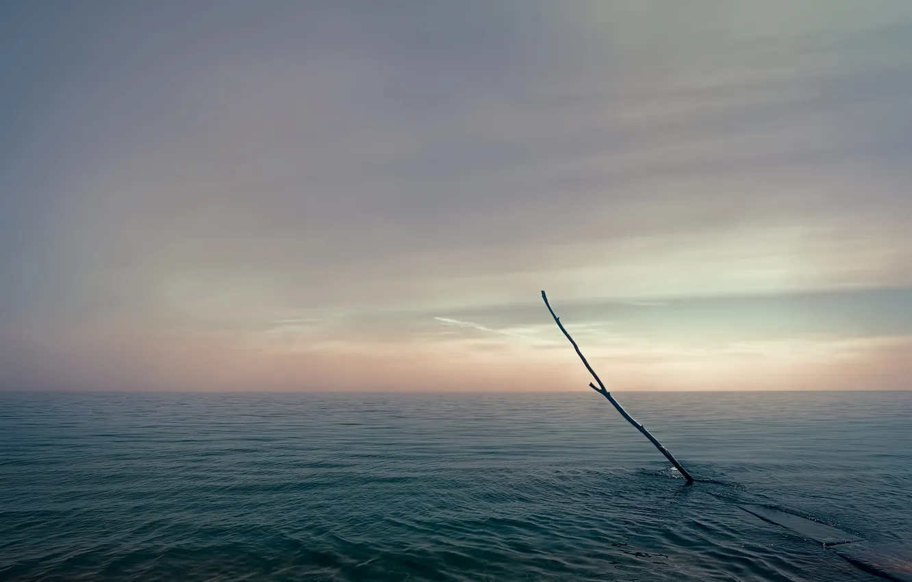 Photo wallpaper sea, the sky, branches