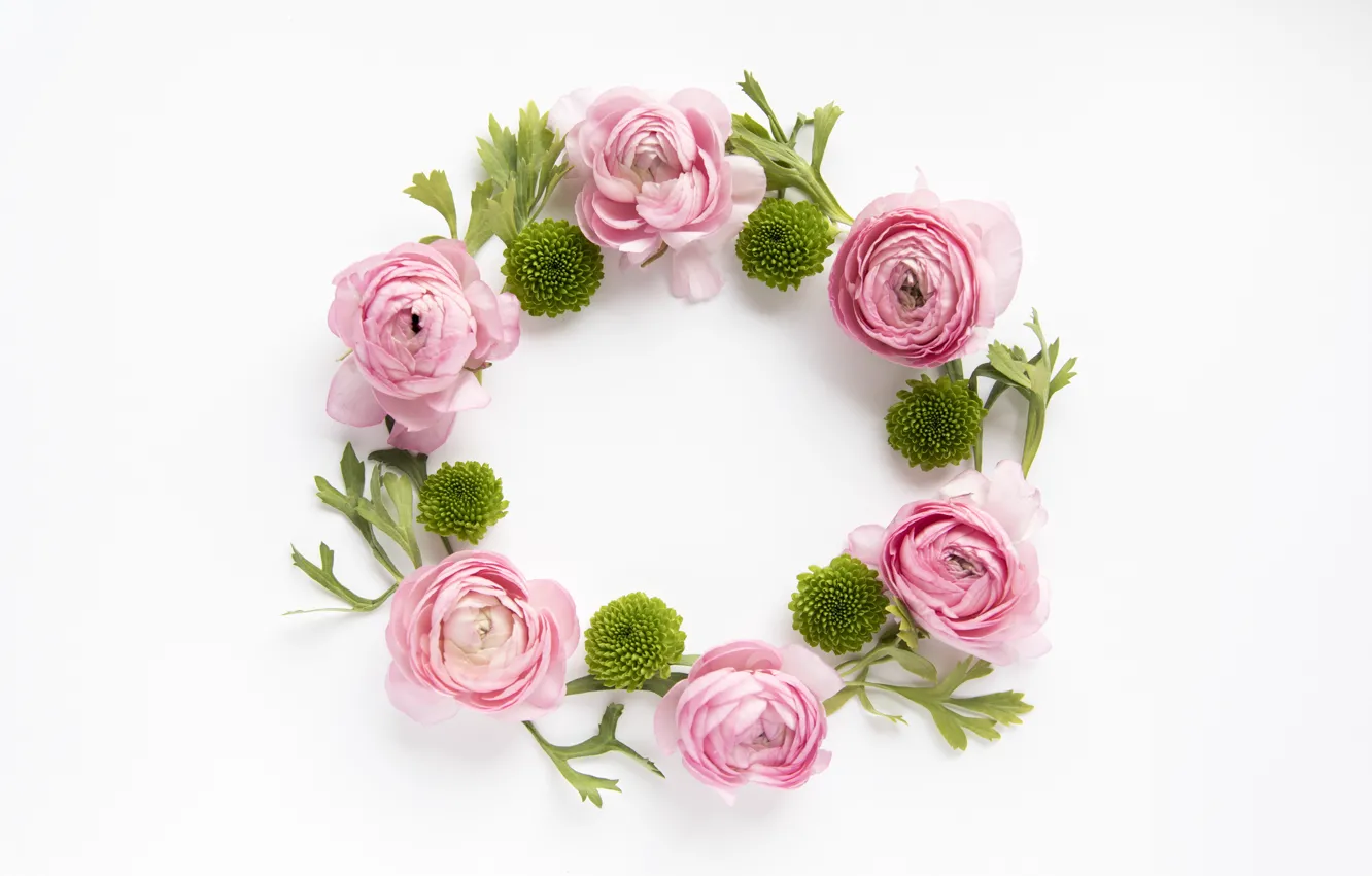 Photo wallpaper white background, pink, decor, Ranunculus, decor, succulents, succulents