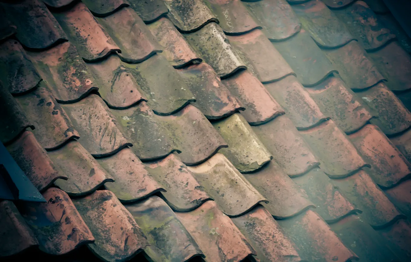 Photo wallpaper roof, SKAT, Sweden, clay, tile, roof