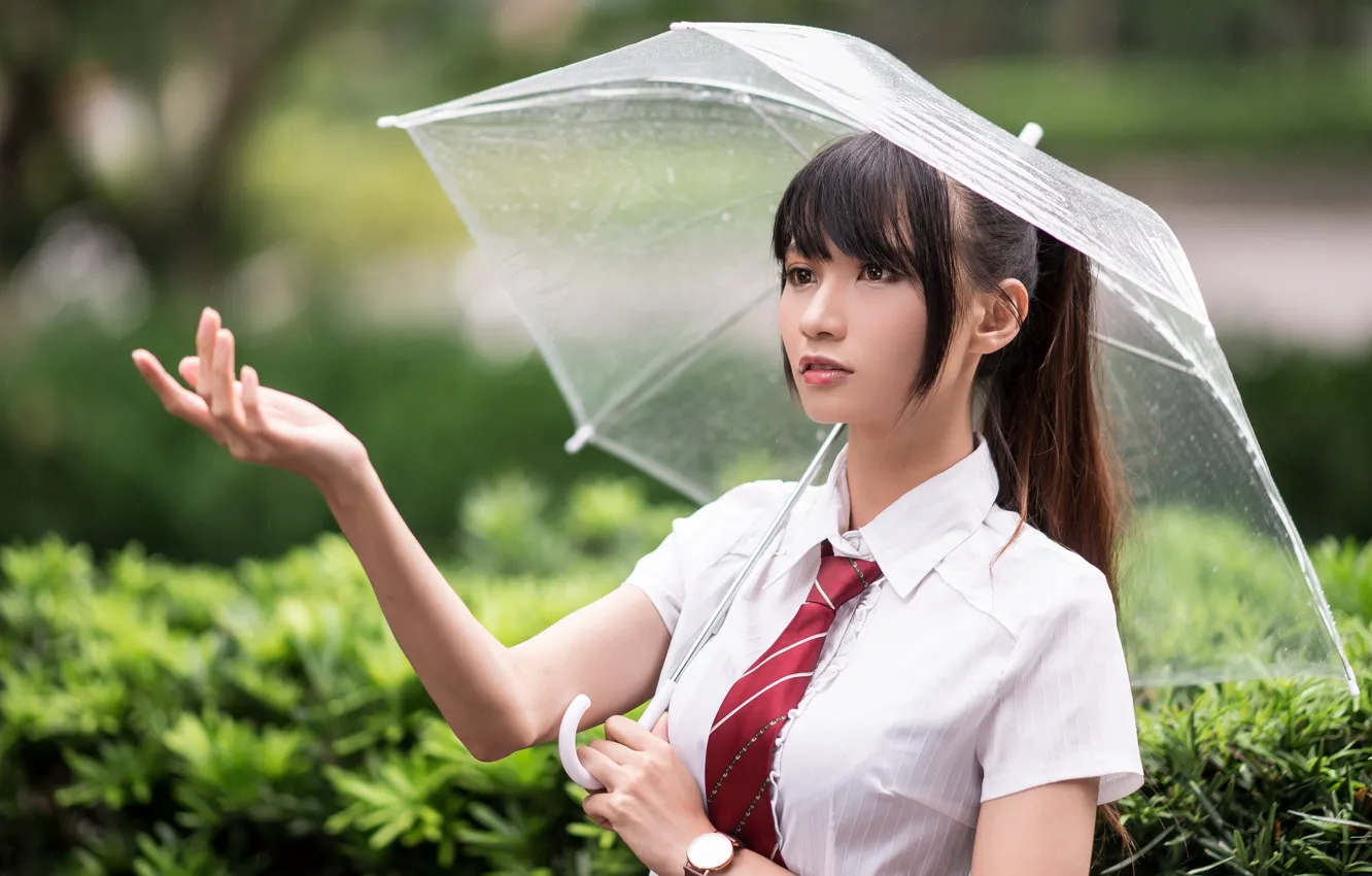 Photo wallpaper girl, umbrella, Asian