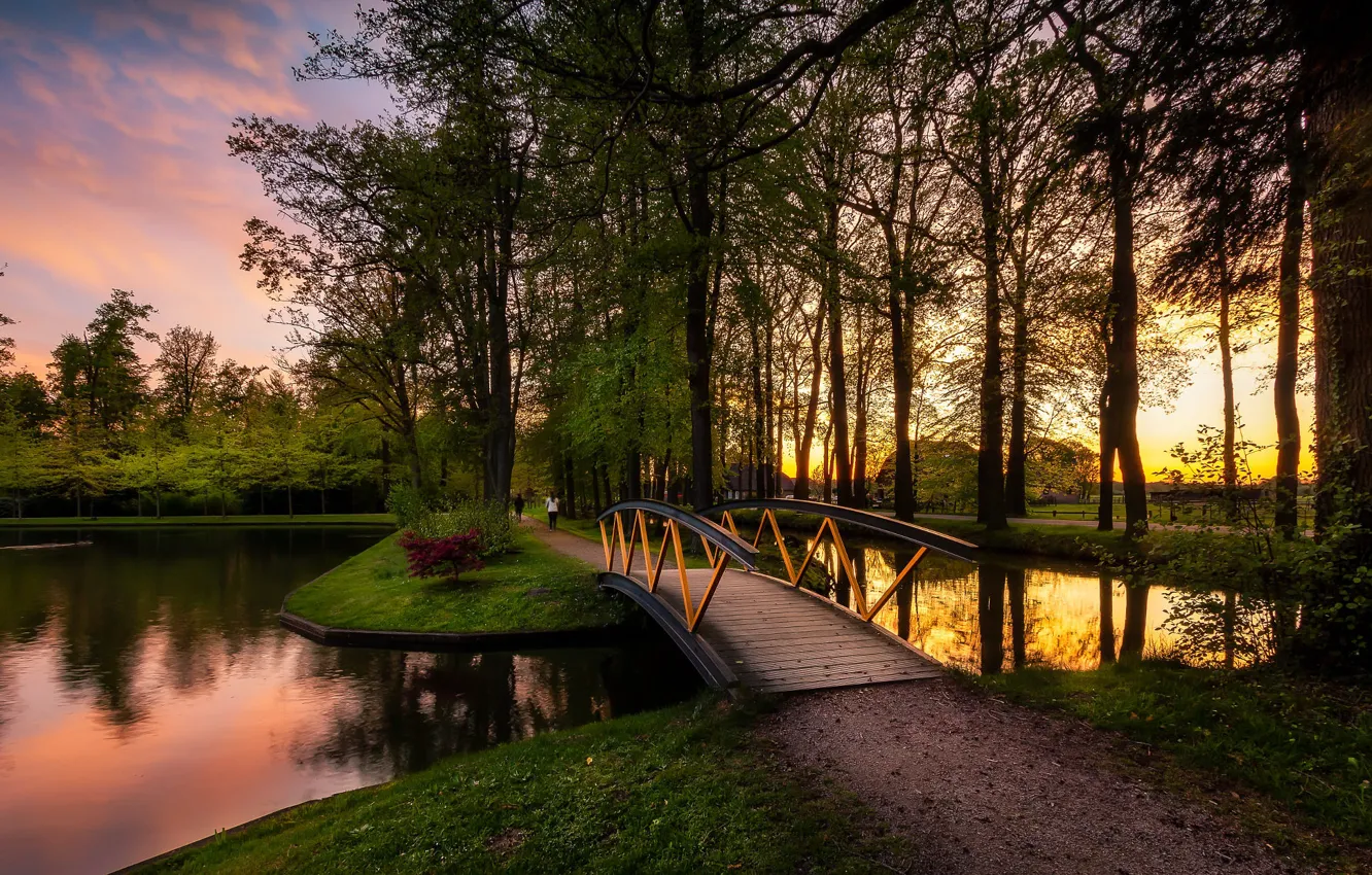 Photo wallpaper trees, landscape, sunset, nature, pond, track, Netherlands, the bridge
