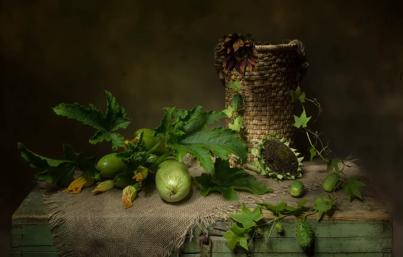 Photo wallpaper still life, zucchini, thesky