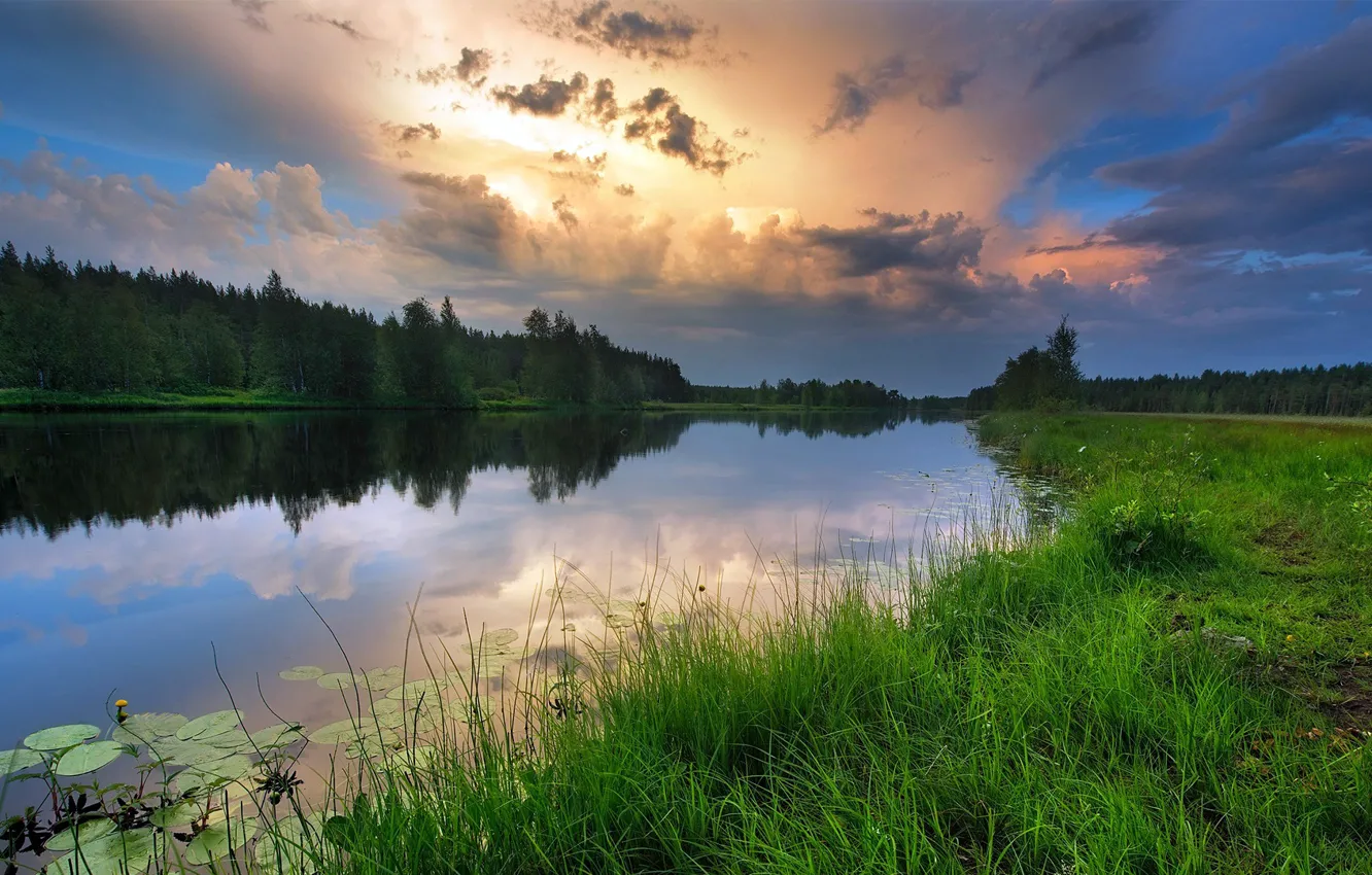 Photo wallpaper forest, the sky, grass, sunset, reflection, river, beautiful, Bank