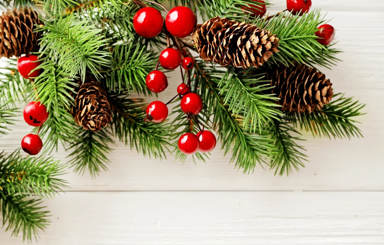Photo wallpaper branches, berries, background, holiday, new year, needles, bumps