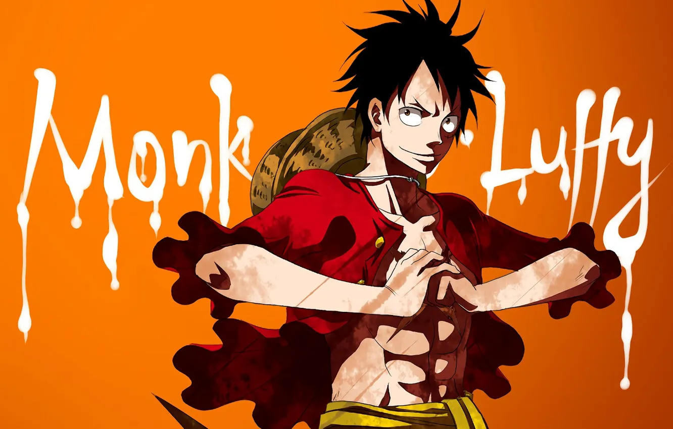 Photo wallpaper background, the inscription, guy, One Piece