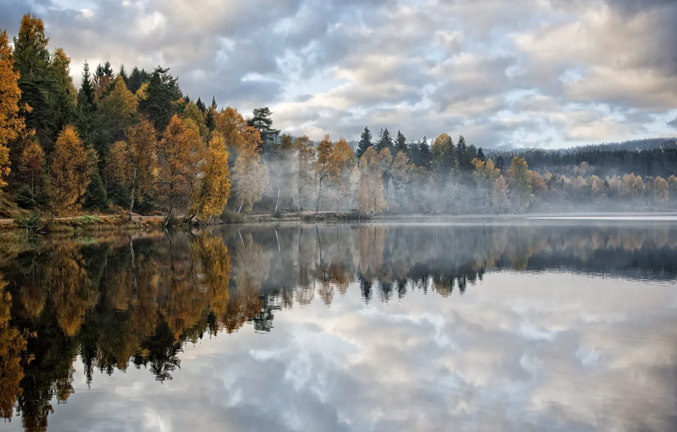Photo wallpaper autumn, forest, trees, lake, morning, haze