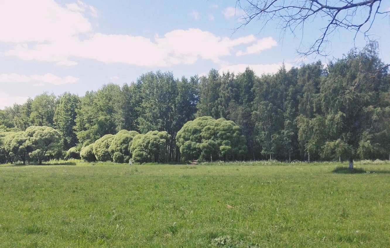 Photo wallpaper summer, landscape, Park, walk