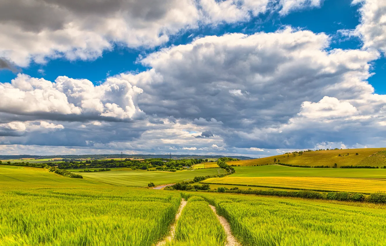 Photo wallpaper road, greens, field, grass, clouds, dal