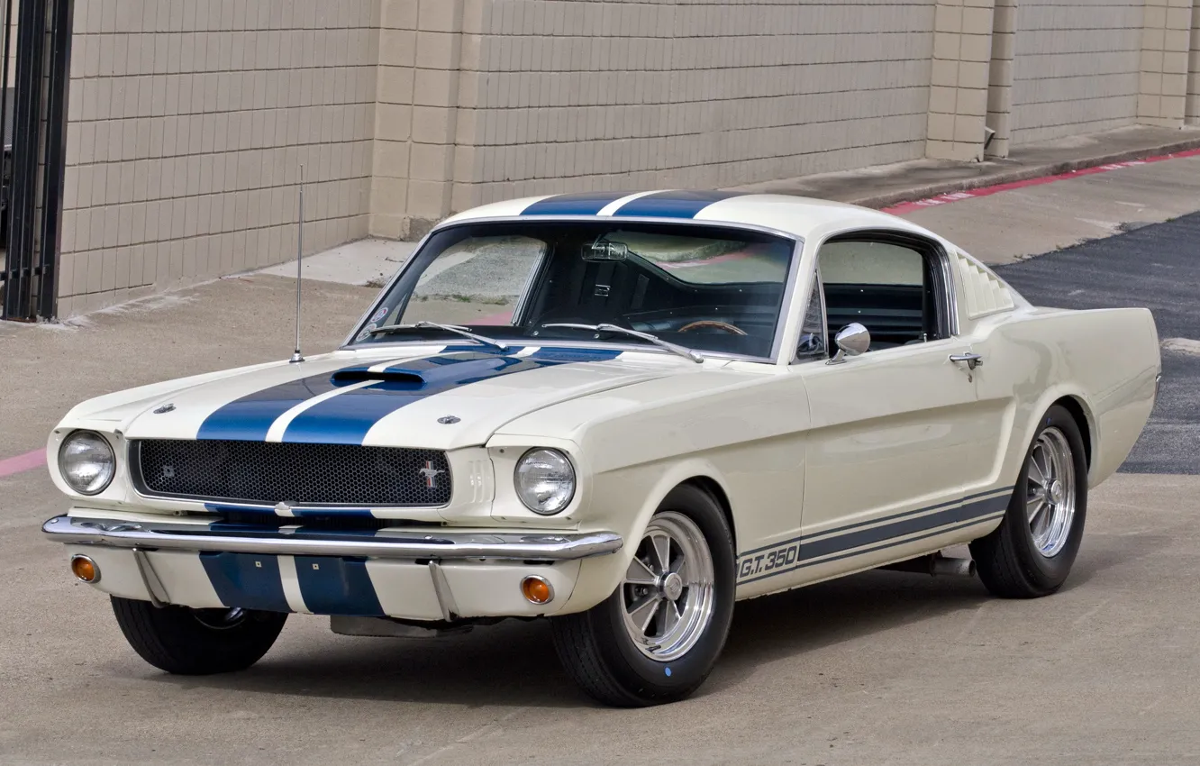 Photo wallpaper Shelby, GT350, '1965