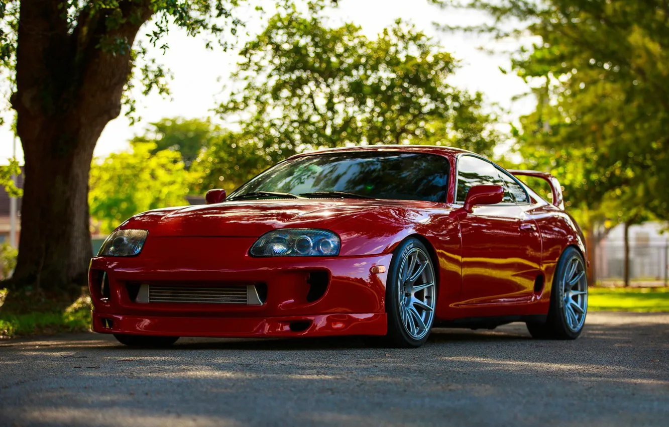 Photo wallpaper supra, Toyta, 80