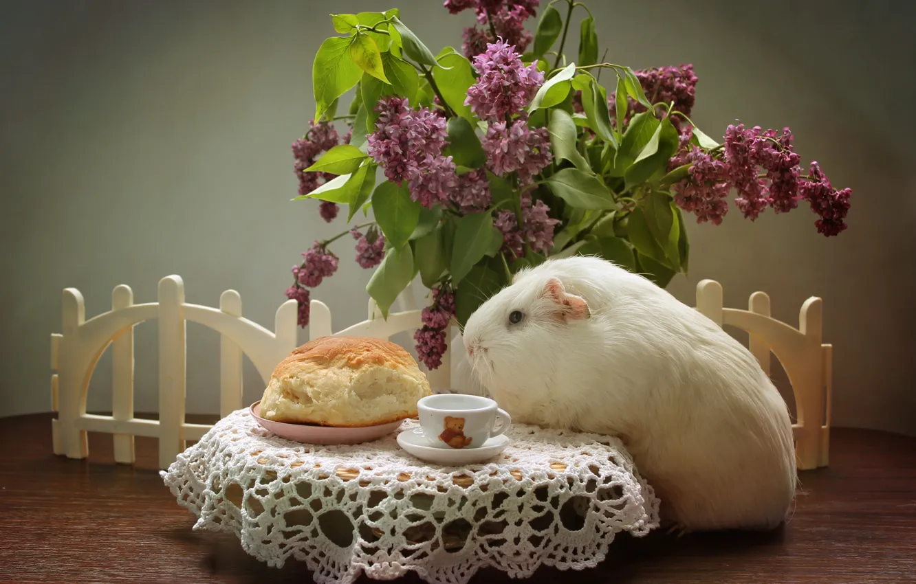Photo wallpaper animals, spring, may, cakes, lilac, pig, composition, bun