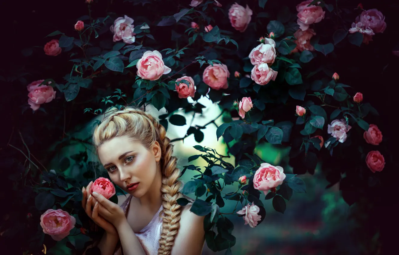 Photo wallpaper young, flowers, rose Bush, style, Rus, arch, image, mood