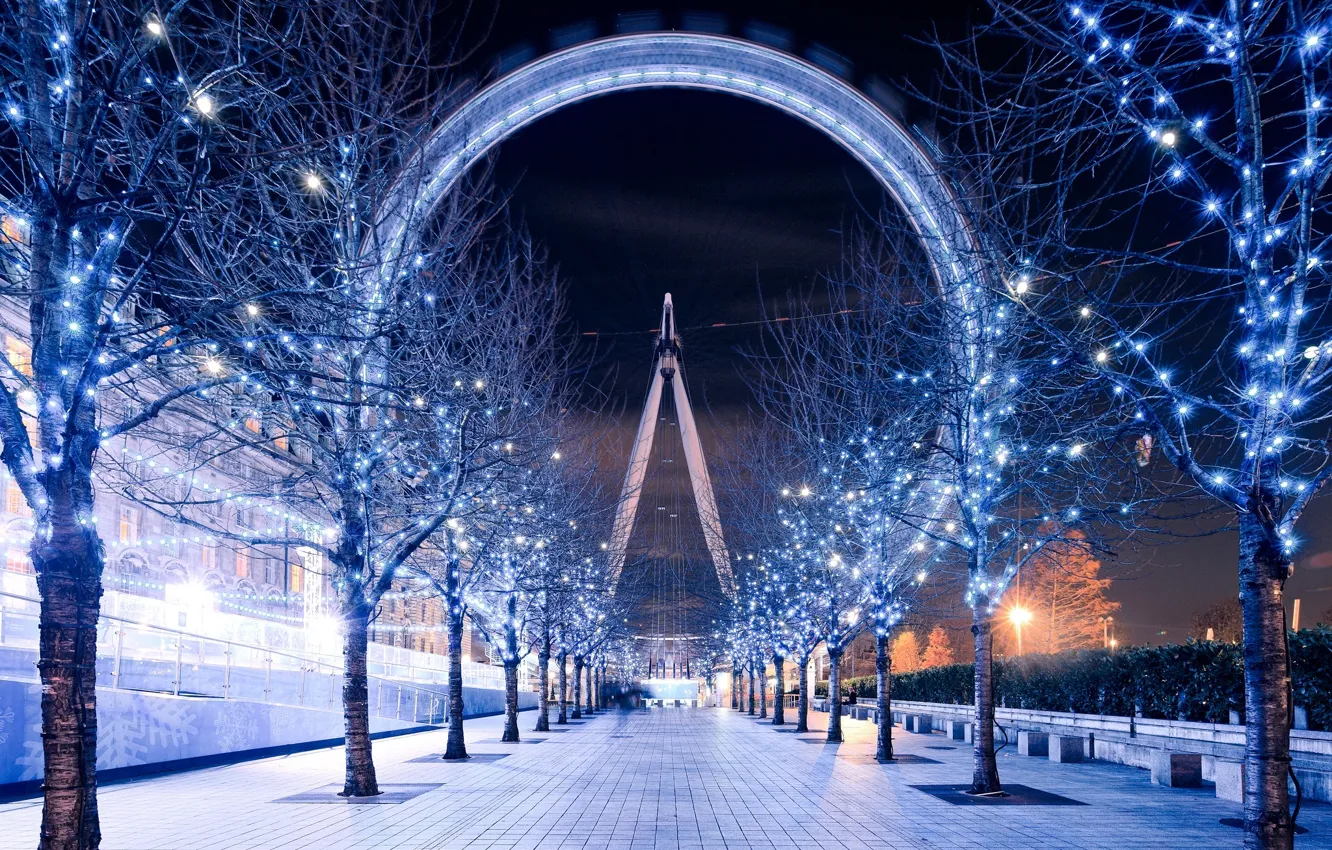 Photo wallpaper trees, night, England, London, the evening, lighting, track, UK