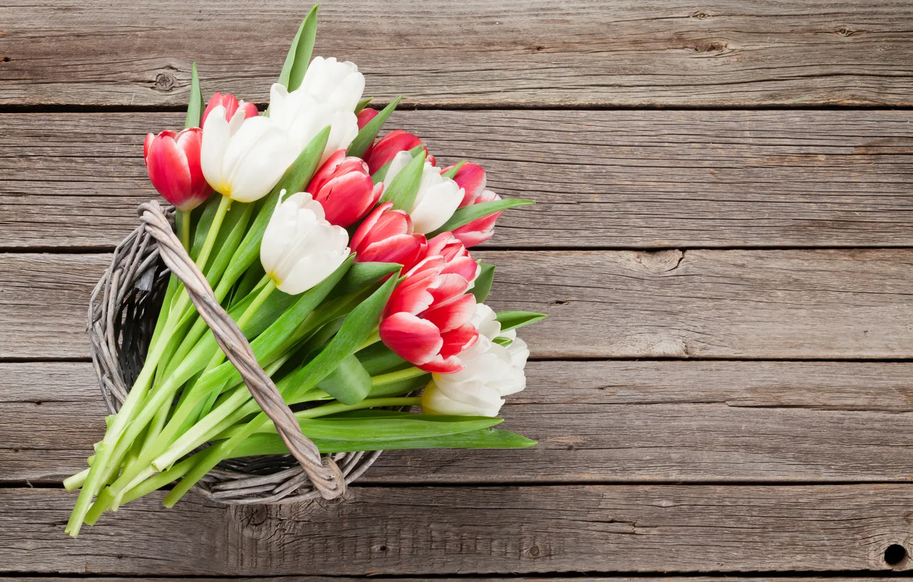 Photo wallpaper flowers, bouquet, tulips, red, white, wood, flowers, tulips