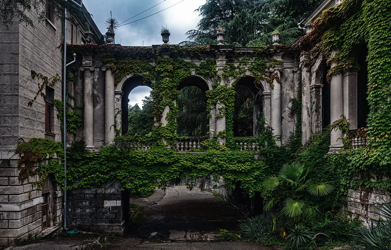 Photo wallpaper Sochi, Vadim Mironov, sanatorium named after. Ordzhonikidze